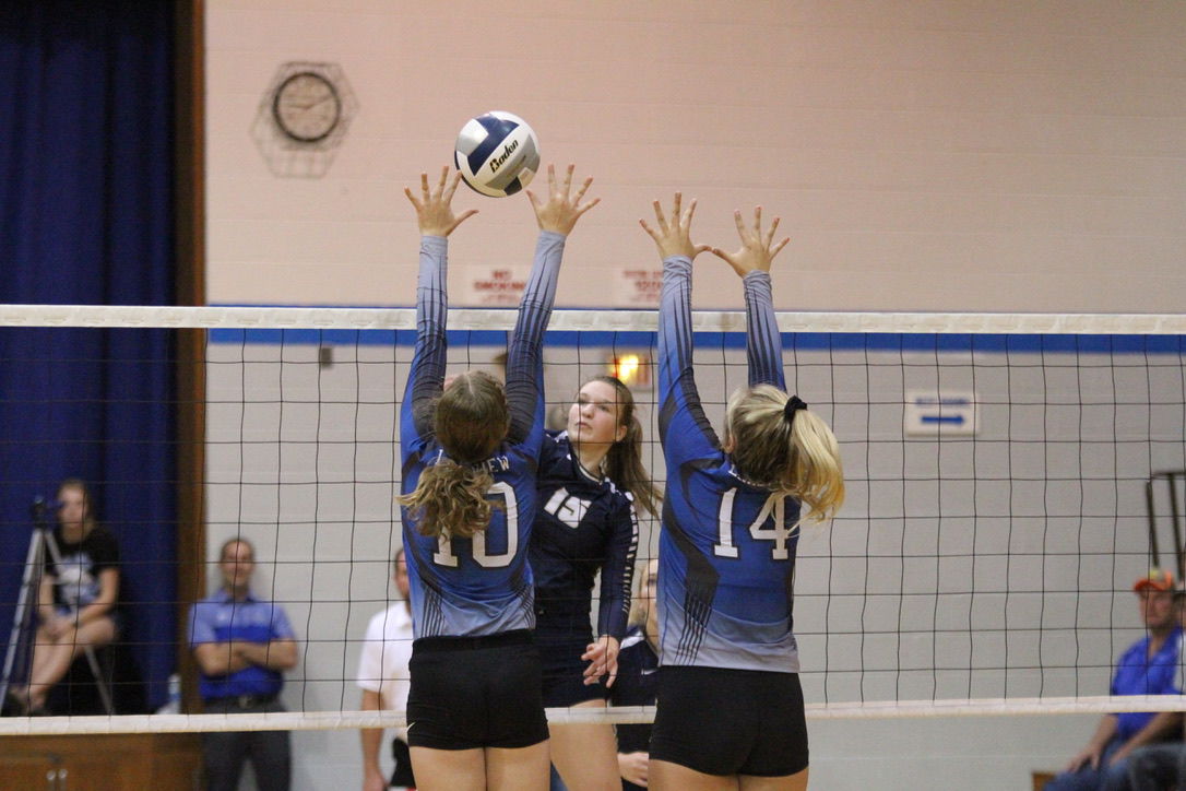 York vs. Columbus Lakeview volleyball 15.jpg